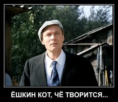 Вес в ущерб функционалу: зачем вывели куроголубей?