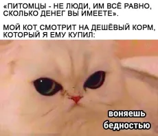 Моя кошка. Жрёт всё, что падает со стола, ещё и ворует. И на улице ещё кормится. Не считая мелких грызунов и птиц.