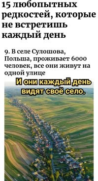 15 любопытных редкостей, которые не встретишь каждый день