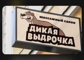 Давайте поговорим про выдр