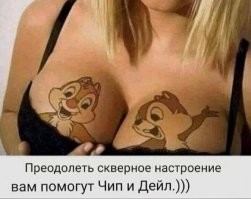 Захочешь пососать сить, заодно отсосёшь бурундукам