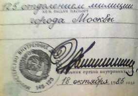 14 смешных подписей, которые точно не забудешь