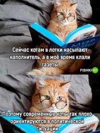 Комментарии и картинки из соцсетей. Свежак за 24 апреля