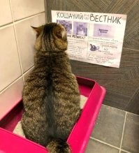 Комментарии и картинки из соцсетей. Свежак за 24 апреля