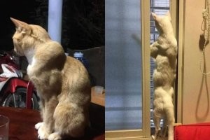 Спустя три месяца.