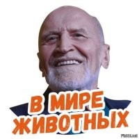 Танцы на движущемся автомобиле были очень плохой идеей