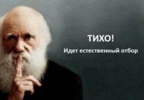 Танцы на движущемся автомобиле были очень плохой идеей