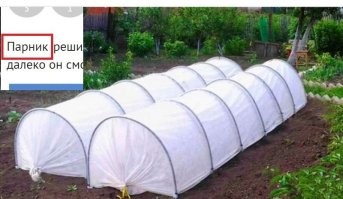 Класс! А парник здесь причём?