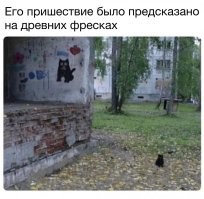 Фотоприколы и&nbsp;прикольные картинки