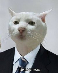 Продолжайте матрасы и геропейцы, главное не останавливайтесь.