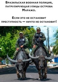 Термин "быковать" заиграл новыми красками