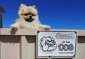 Добродушный пёс встречает сотрудника службы доставки