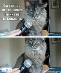 Потрясён, поражён, обескуражен: как умеют удивляться разные животные
