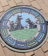 Ну таки у нас в городочке тоже люки распрекрасные.