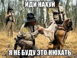 Потрясён, поражён, обескуражен: как умеют удивляться разные животные
