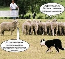 О, да-да, как это знакомо... 

Когда здравомыслящие люди, которых окрестили антиваксерами, с самого начала призывали не колоться, потому что эта неисследованная жидкость генной инженерии может убить, им тоже писали: "Не стоит искать заговоры там где их нет". В итоге - миллионы убитых и покалеченных...

...а теперь ангажированные СМИ и "научные" издания тихо и незаметно, без громких заголовков и крика на каждом углу - в отличие от информации о случаях "заболевания" барановирусом - постепенно, порциями сливают информацию о том, что вакцины таки убивают, маски для лица таки могут повышать риск мертворождения, дисфункции яичек и снижения когнитивных функций, засев облаков таки используется и т.д. и т.п. И вот оказалось, что "теории заговора" вдруг оказались никакими не теориями.

А хомячки всё так же продолжают хомячить...