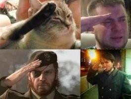 Котики, у которых лапки. Да ещё какие