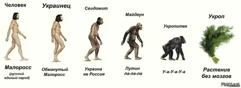 Укроп - это вкусная приправа и не надо её ассоциировать к этим украпам(УКРАл-Пропил)