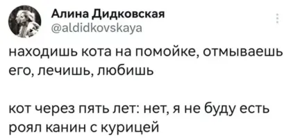 Вчера с лососем был. Купил новый?