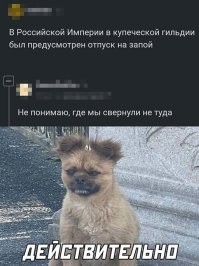 Алкопост на&nbsp;вечер этой пятницы