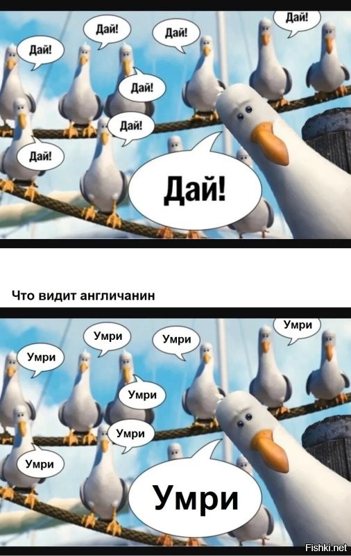 О политике и не только
