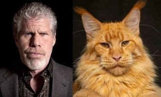 10 двойников звёзд, которые очень похожи на селебрити