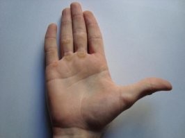 Что использовали люди до появления туалетной бумаги?
