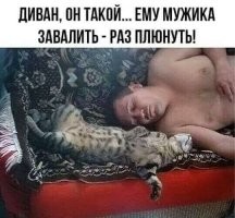Фотоприколы и прикольные картинки