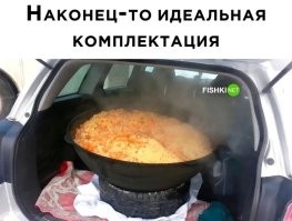 Да уж.... Запах в машине ни одна автомобильная вонючка еще в течение года перебить не сможет))