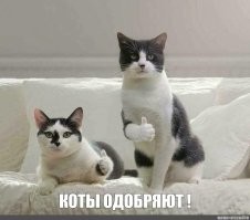 Фотоприколы и&nbsp;прикольные картинки