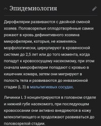 Комар припер, инфа сотка)