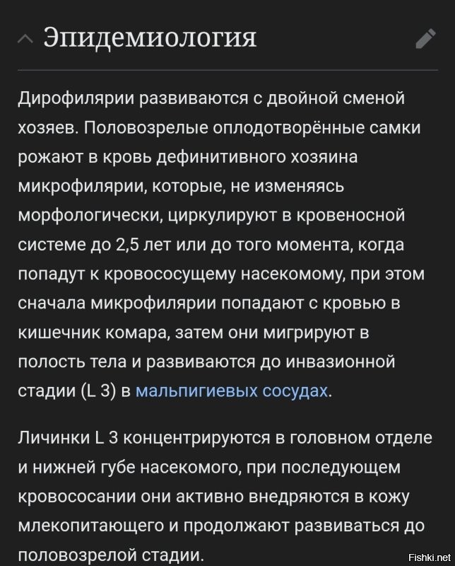 Комар припер, инфа сотка)