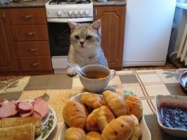 верное решение, а не эти всякие там бургеры с картошкой фри!!!