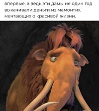 МВД РФ решило устроить охоту на инфоцыган