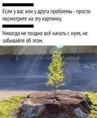 Фотоприколы и&nbsp;прикольные картинки