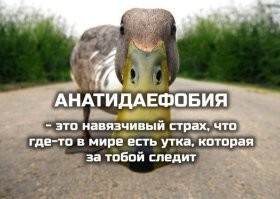 7 странных фобий, о которых вы не подозревали