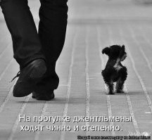 Фотоподборка