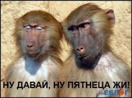 Фотоподборка