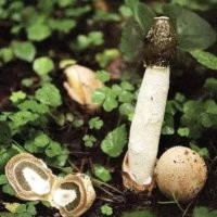 17 творений талантливых людей, которые в совершенстве владеют ремеслами