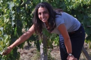 Сицилийки нифига не изменились. Виноград тоже.