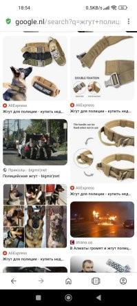 У французов своя атмосфера: устраивают масштабные побоища, жгут полицейских и чучело Макрона

А жгут полицейских выглядит именно так:
