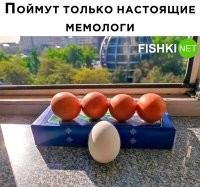 а где пятое яйцо????