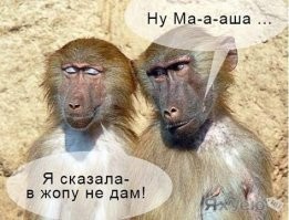 Фотоподборка