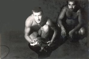 Верно.
Каспийские тюлени могут покусать человека весной, когда у них "гормон играет".
Кроме того, они переносят бешенство.
Работал на Каспии судовым радистом и увлекался подводным плаванием.
Ловил рыбу, а иногда и тюленей.
 Мясо тюленя несъедобно, из-за сильного рыбного привкуса. Шкура, пятнистая и с коротким мехом, тоже особой ценности не представляет. А вот жир, который нужно выплавлять на водяной бане, был отличного качества. Говорят, что даже лучше трескового. 
Мы же делали из тюленя джиз-быз. Брали сердце, печень, почки, жарили с луком и картошкой. Получалось вкусно. Поначалу напрягала тюленья морда, которая очень напоминает собачью.
Но, если не брать во внимание гастрономические предрассудки, то есть можно. Корейцы-то собак едят, а французы – лягушек. Про китайцев - вообще молчу.

 Один такой тюлень прокусил нашему боцману сапог, но толстый слой портянки – не смог прокусить.