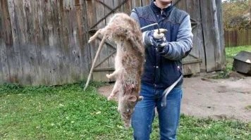 У нас по общаге такие бегали...