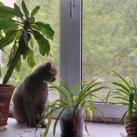 И я вообще не в городе.  Всю жизнь.