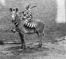 Механическое. 

Немеханическое ТС это, например, вот: