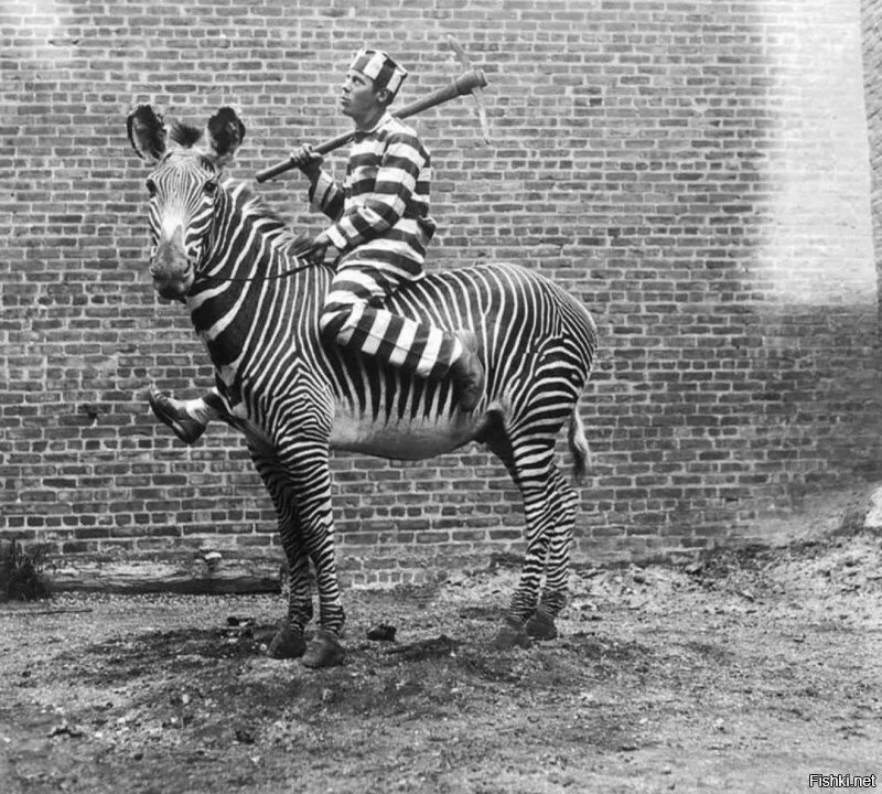 Механическое. 

Немеханическое ТС это, например, вот: