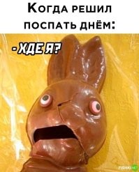 Их едят, а они глядят: забавные и пугающие способы подачи разных блюд