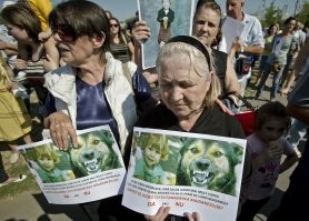 "у них нет бродячих животных." - не идеализируйте Европу.